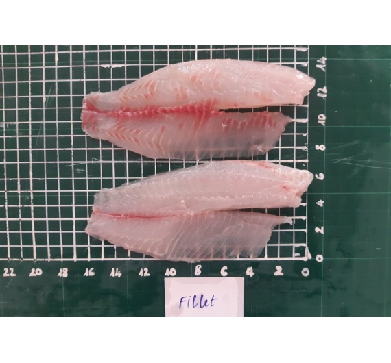 Cá diêu hồng fille đông lạnh 1kg size 100-300up và 300 up